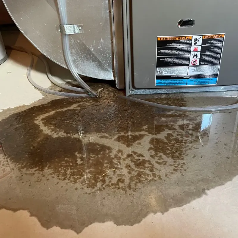 Pipe Burst and Leak Restoration in San Bruno, CA
